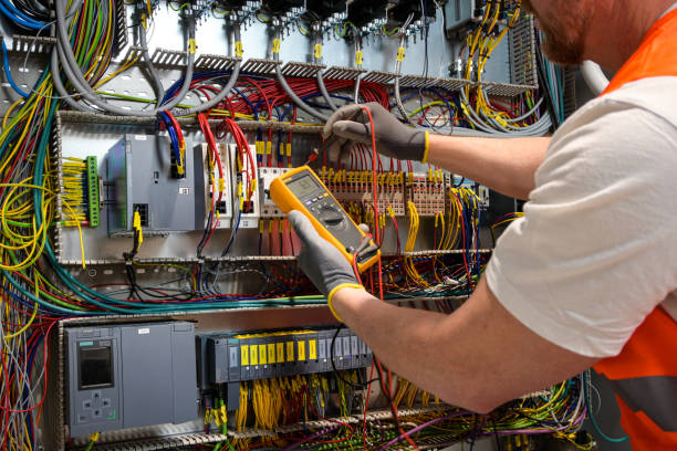 Best Electrical System Inspection  in Winthrop, MN