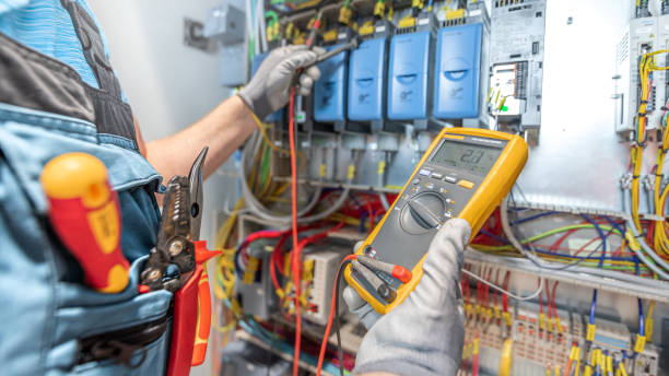 Best Electrical Troubleshooting Services  in Winthrop, MN